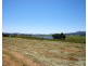 43 Main Street, Legerwood TAS 7263
