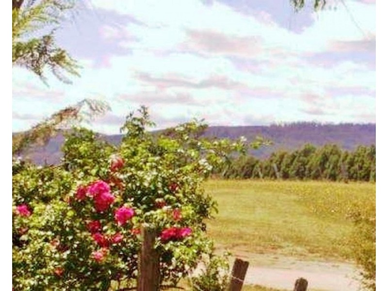 45 Main Street, Legerwood TAS 7263