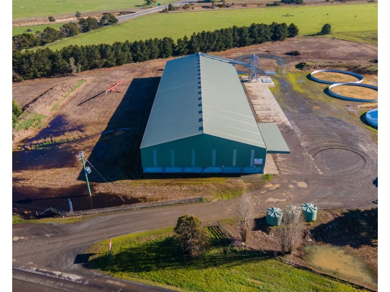 135 Powranna Road, Powranna TAS 7300