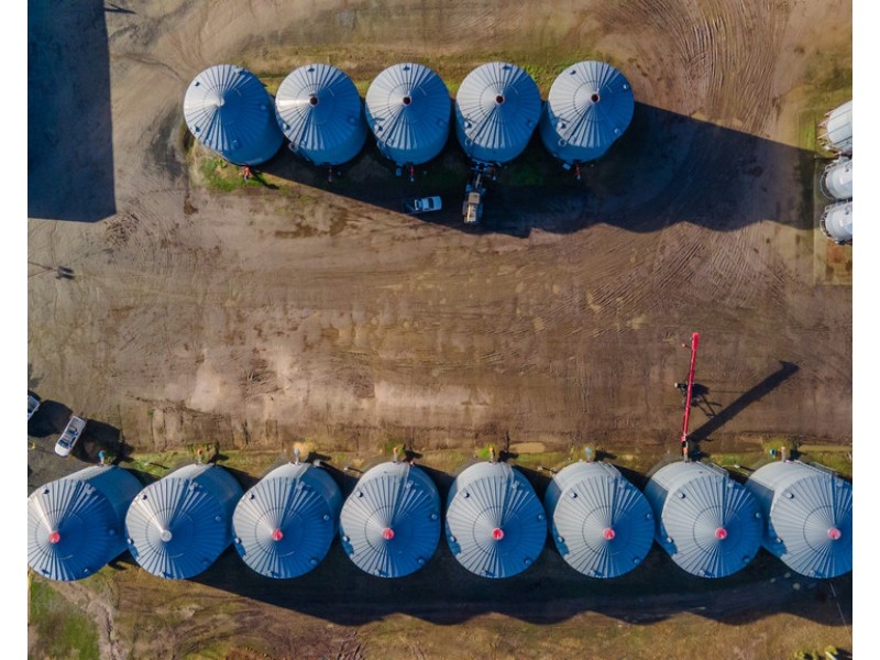 135 Powranna Road, Powranna TAS 7300