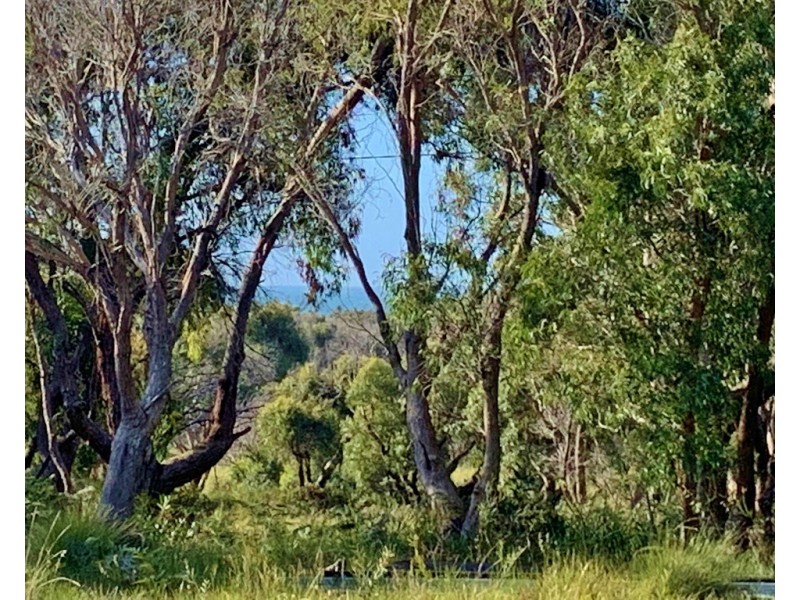 12 Fairway Avenue, Lulworth TAS 7252