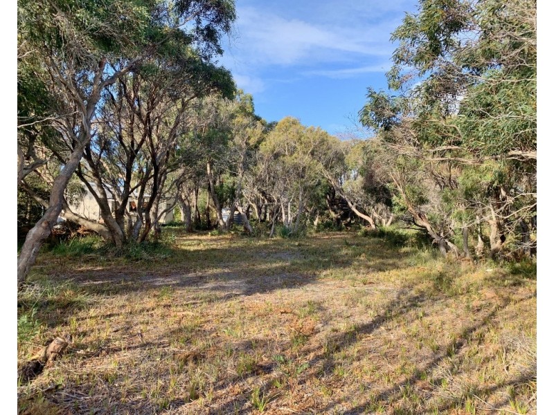 12 Fairway Avenue, Lulworth TAS 7252