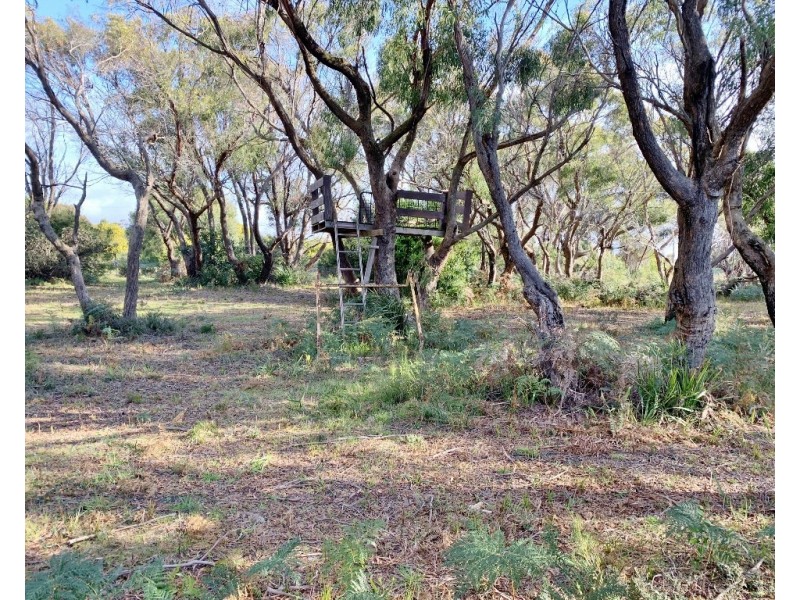 12 Fairway Avenue, Lulworth TAS 7252