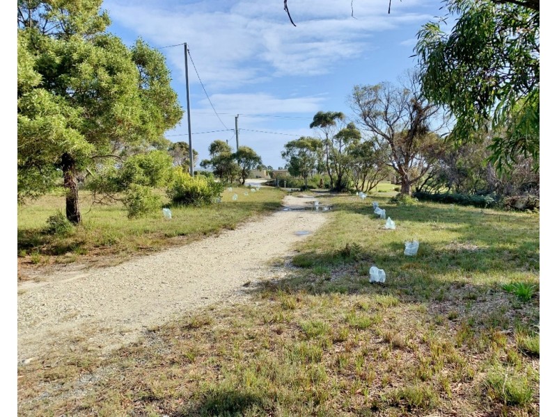 12 Fairway Avenue, Lulworth TAS 7252