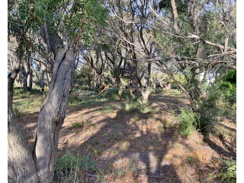 12 Fairway Avenue, Lulworth TAS 7252