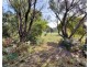 12 Fairway Avenue, Lulworth TAS 7252