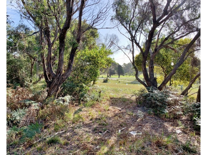 12 Fairway Avenue, Lulworth TAS 7252