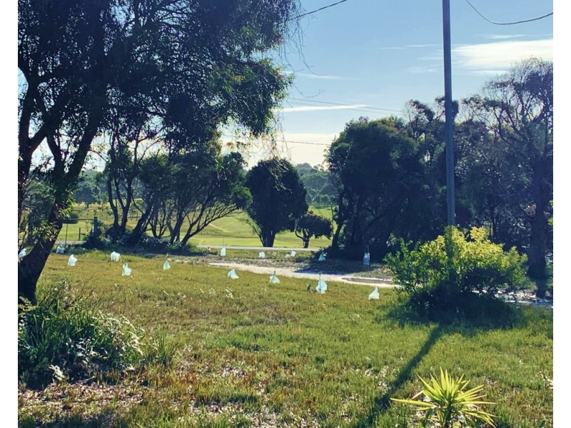 12 Fairway Avenue, Lulworth TAS 7252