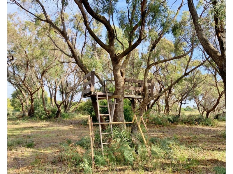 12 Fairway Avenue, Lulworth TAS 7252