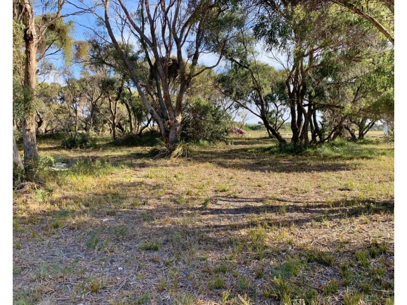 12 Fairway Avenue, Lulworth TAS 7252