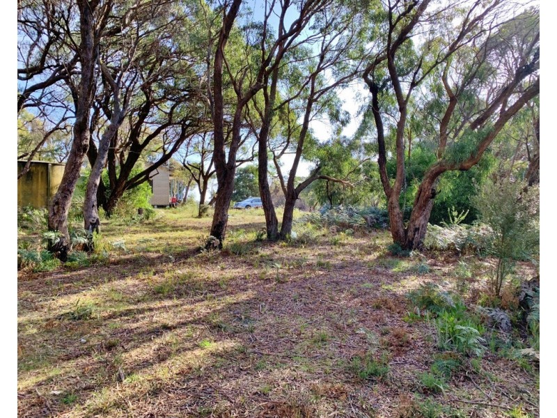 12 Fairway Avenue, Lulworth TAS 7252