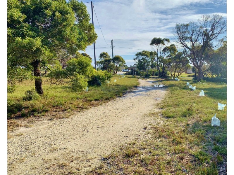 12 Fairway Avenue, Lulworth TAS 7252