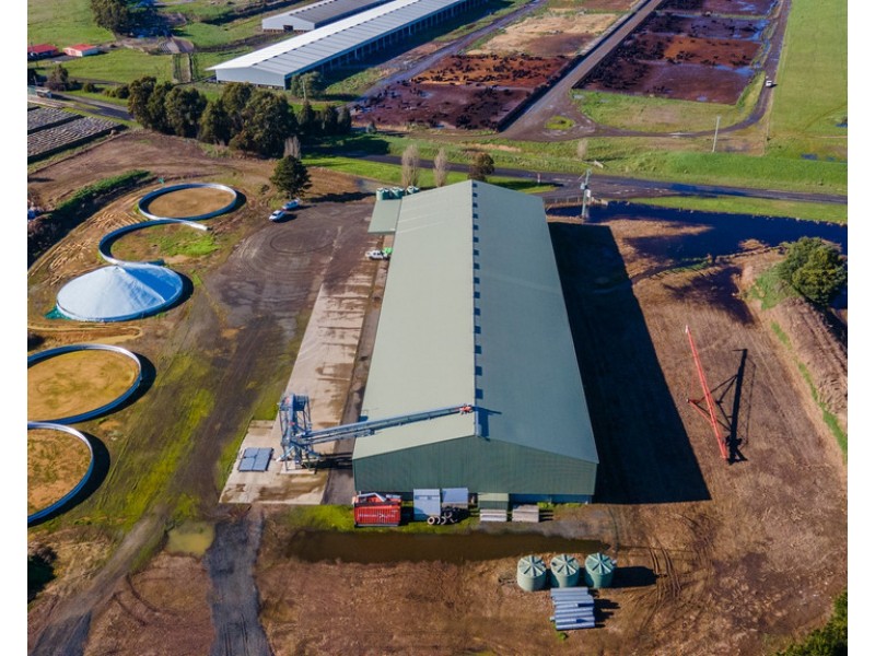 135 Powranna Road, Powranna TAS 7300