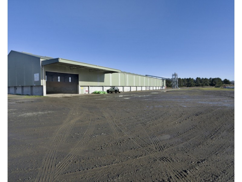 135 Powranna Road, Powranna TAS 7300