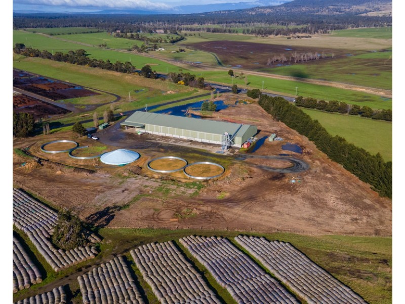 135 Powranna Road, Powranna TAS 7300