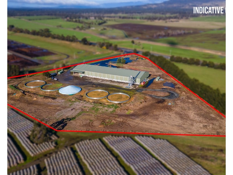 135 Powranna Road, Powranna TAS 7300