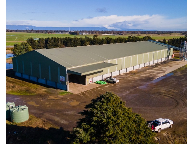 135 Powranna Road, Powranna TAS 7300