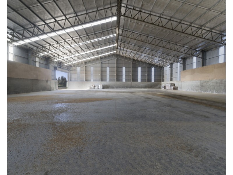 135 Powranna Road, Powranna TAS 7300