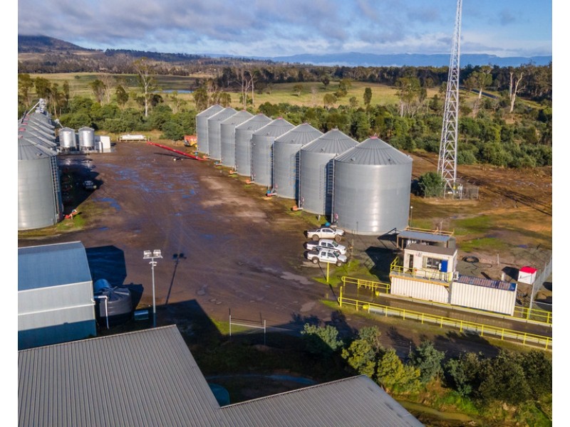 135 Powranna Road, Powranna TAS 7300