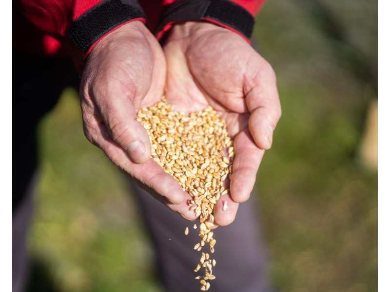 135 Powranna Road, Powranna TAS 7300