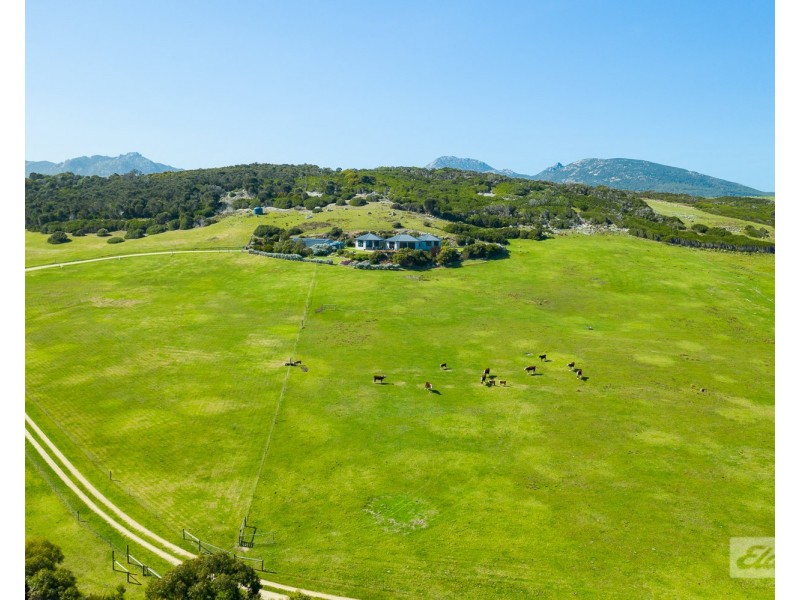 60 Virieux Road, Whitemark TAS 7255