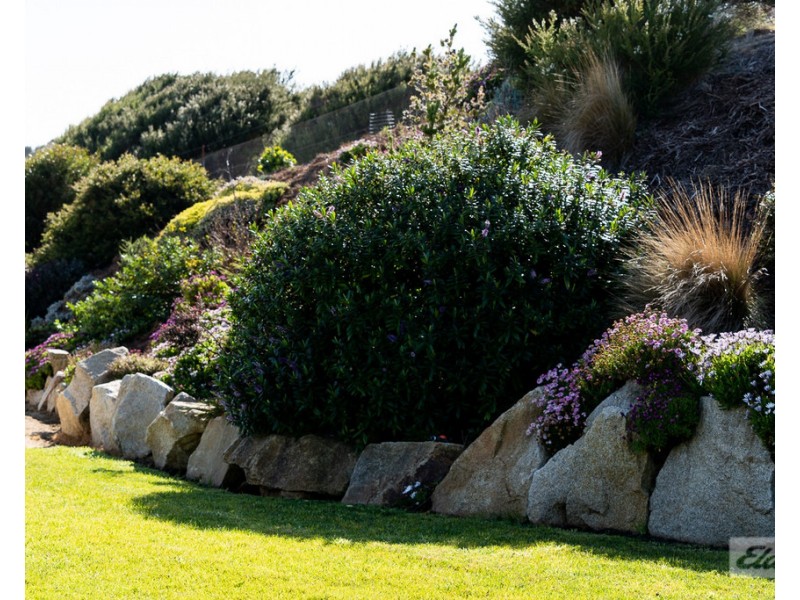 60 Virieux Road, Whitemark TAS 7255