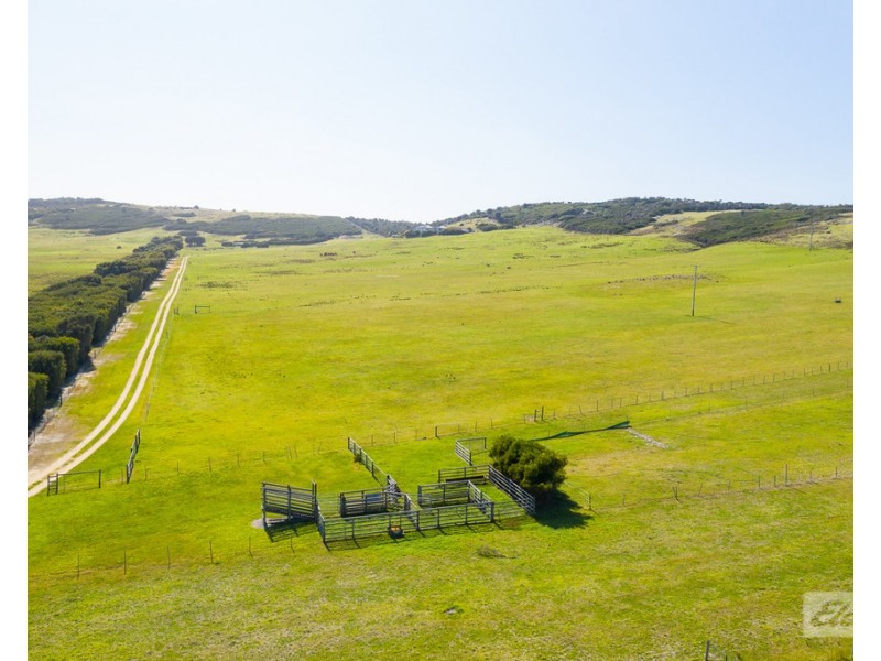 60 Virieux Road, Whitemark TAS 7255