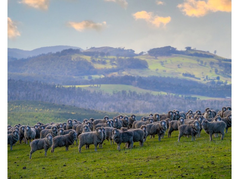 746 Fulham Road, Carlton River TAS 7173