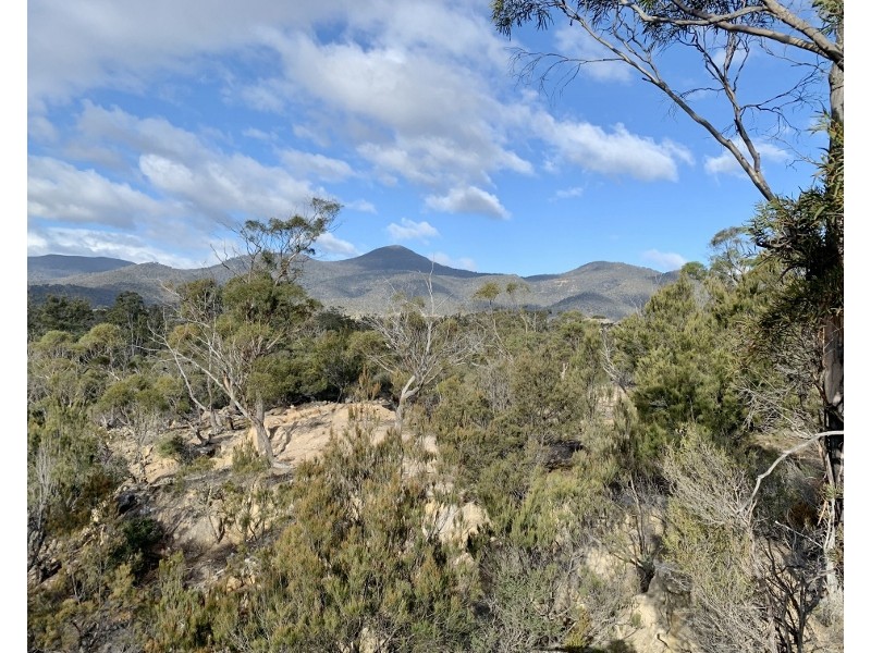 Lot 3 Leona Road, Avoca TAS 7213