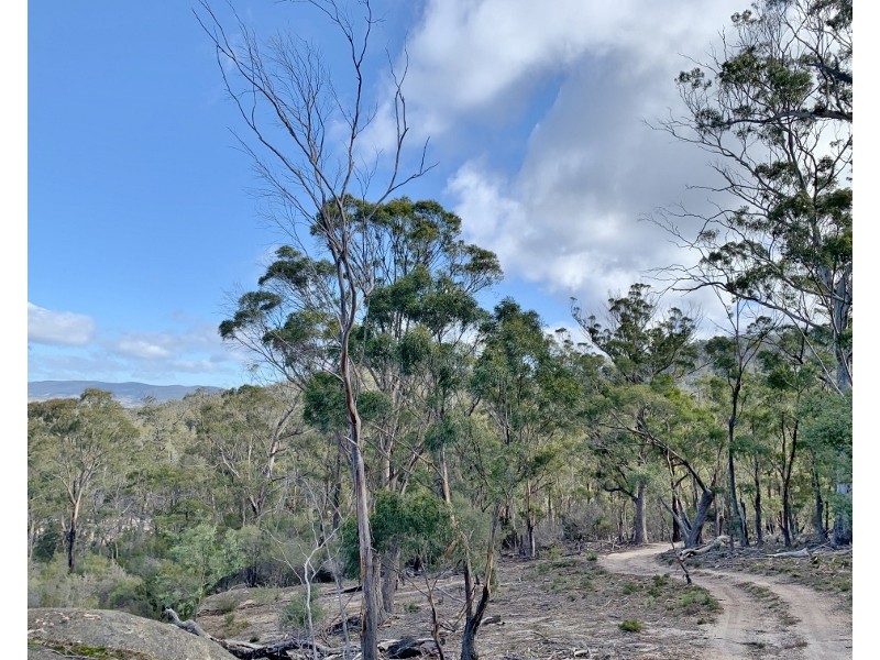 Lot 3 Leona Road, Avoca TAS 7213