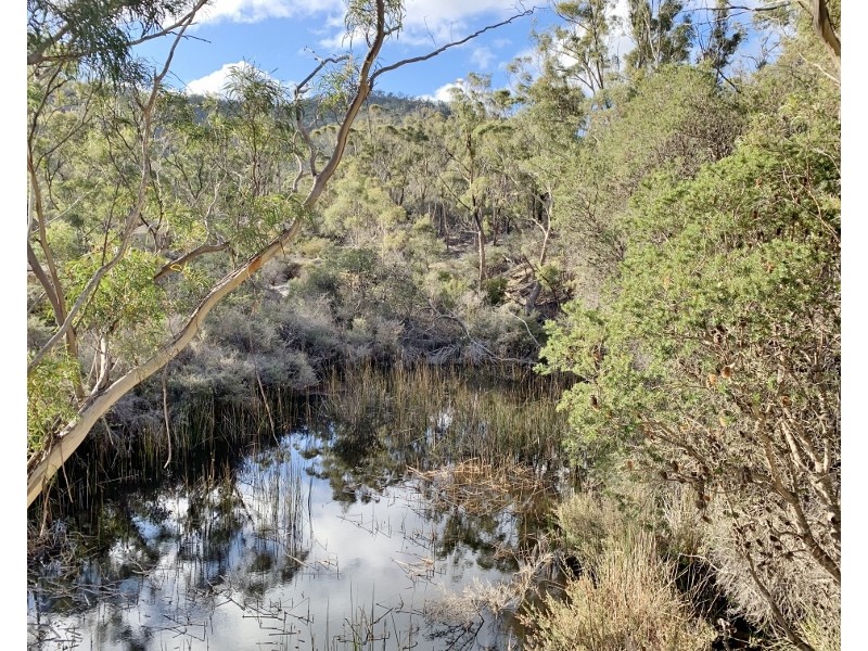 Lot 3 Leona Road, Avoca TAS 7213