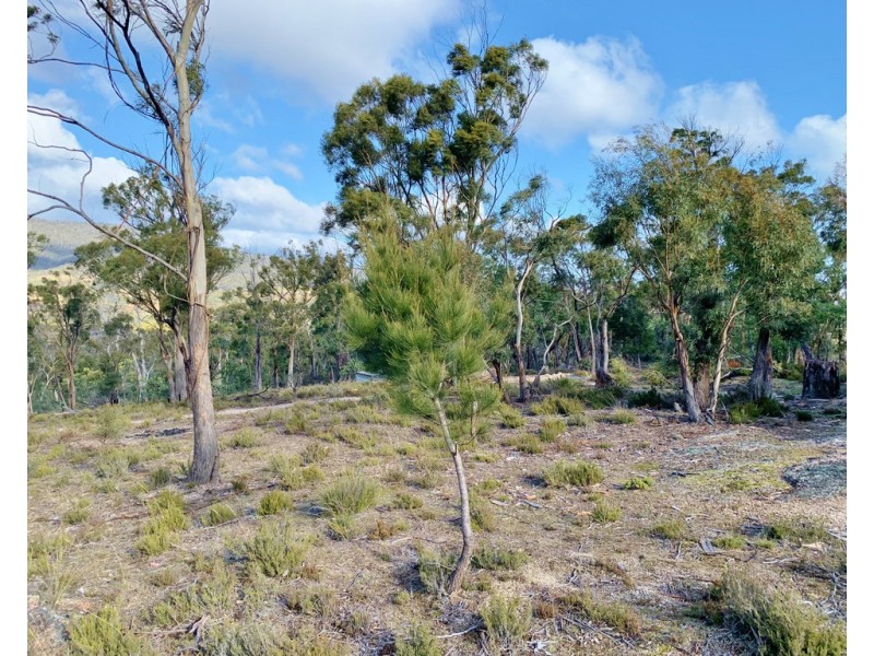 Lot 3 Leona Road, Avoca TAS 7213