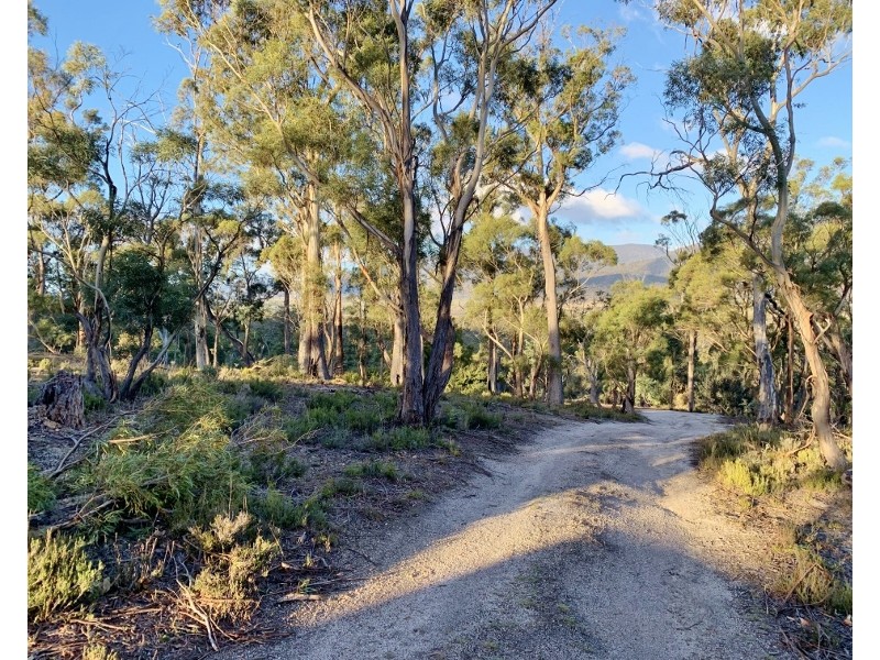 Lot 3 Leona Road, Avoca TAS 7213