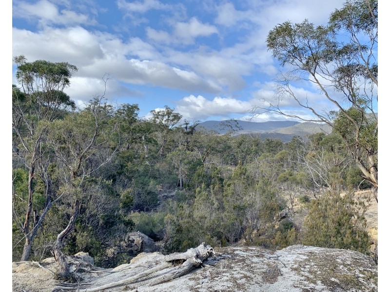 Lot 3 Leona Road, Avoca TAS 7213