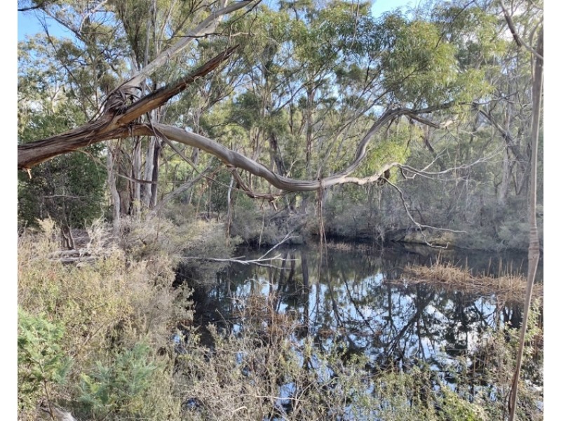 Lot 3 Leona Road, Avoca TAS 7213