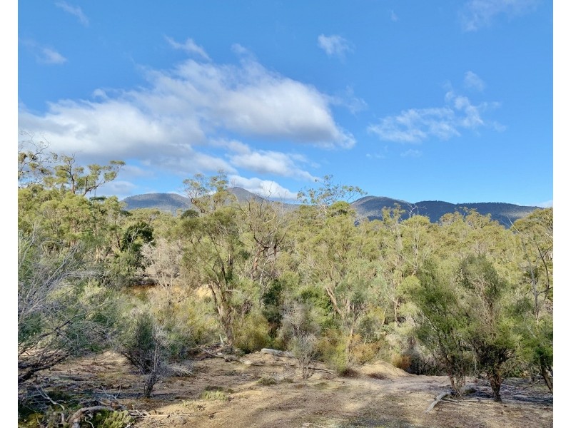 Lot 3 Leona Road, Avoca TAS 7213