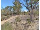 Lot 3 Leona Road, Avoca TAS 7213