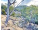 Lot 3 Leona Road, Avoca TAS 7213