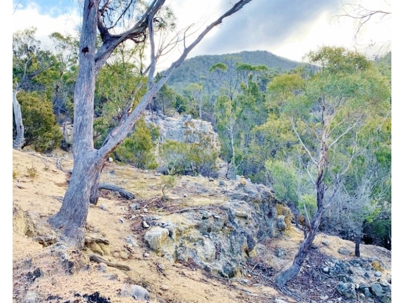 Lot 3 Leona Road, Avoca TAS 7213