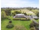 338 Windermere Road, Windermere TAS 7252