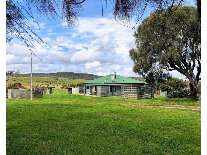 1642 Palana Road, Emita TAS 7255