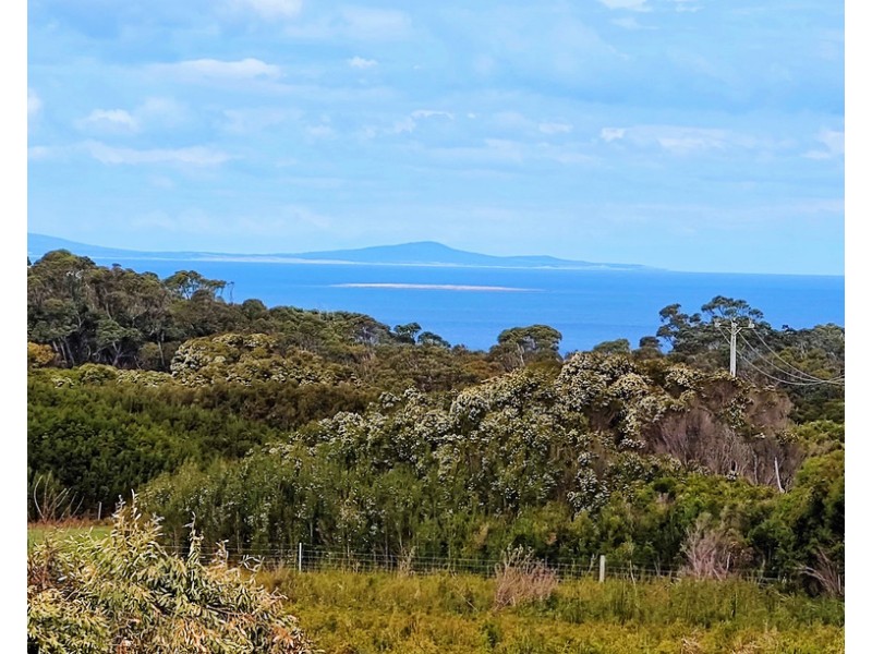 1642 Palana Road, Emita TAS 7255