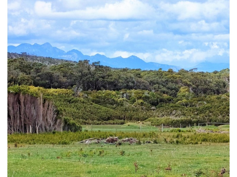 1642 Palana Road, Emita TAS 7255