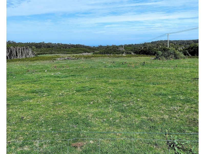 1642 Palana Road, Emita TAS 7255