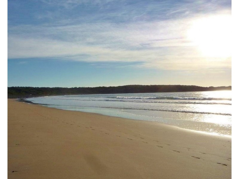 5 Scott Street, Lulworth TAS 7252