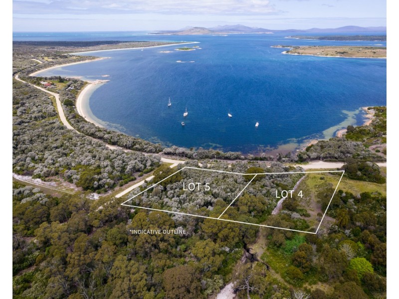 Lady Barron TAS 7255