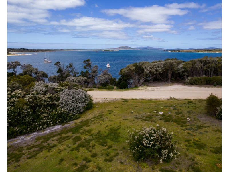 Lady Barron TAS 7255