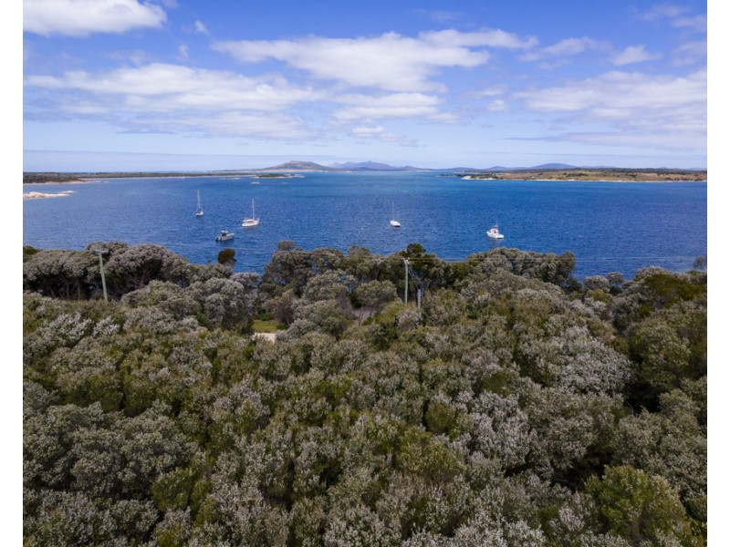 Lady Barron TAS 7255