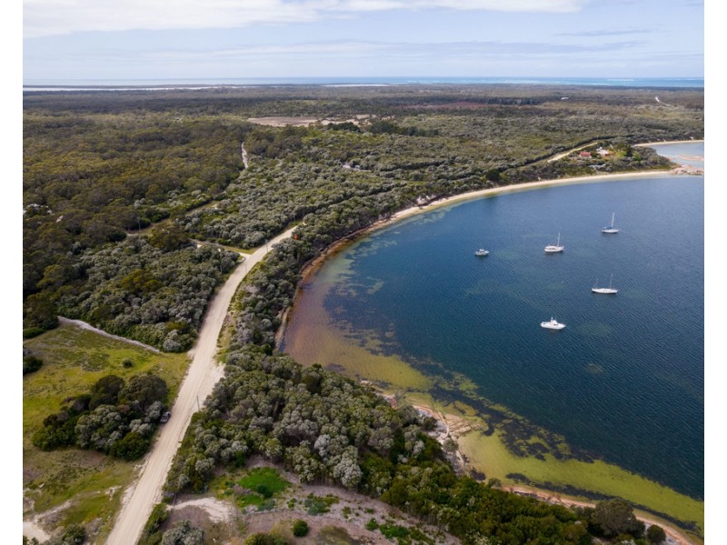 Lady Barron TAS 7255