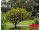 539 Memana Road, Whitemark TAS 7255